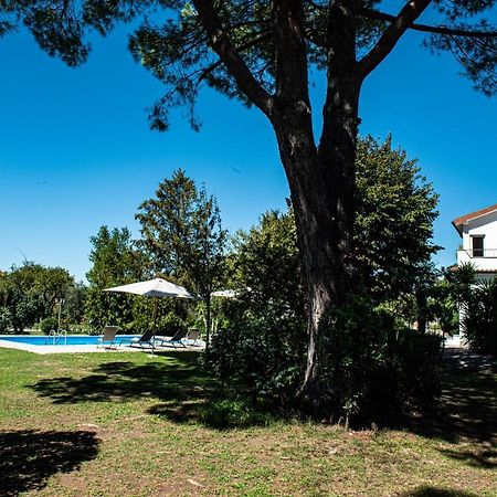 Terre Etrusche Guest House-Terme -3 Minuti Da Viterbo Centro Eksteriør bilde