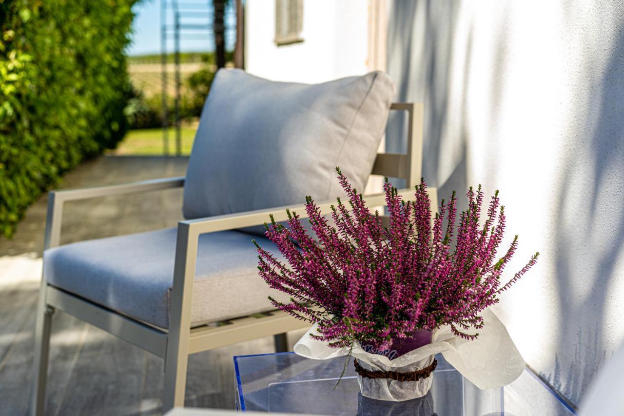 Terre Etrusche Guest House-Terme -3 Minuti Da Viterbo Centro Eksteriør bilde