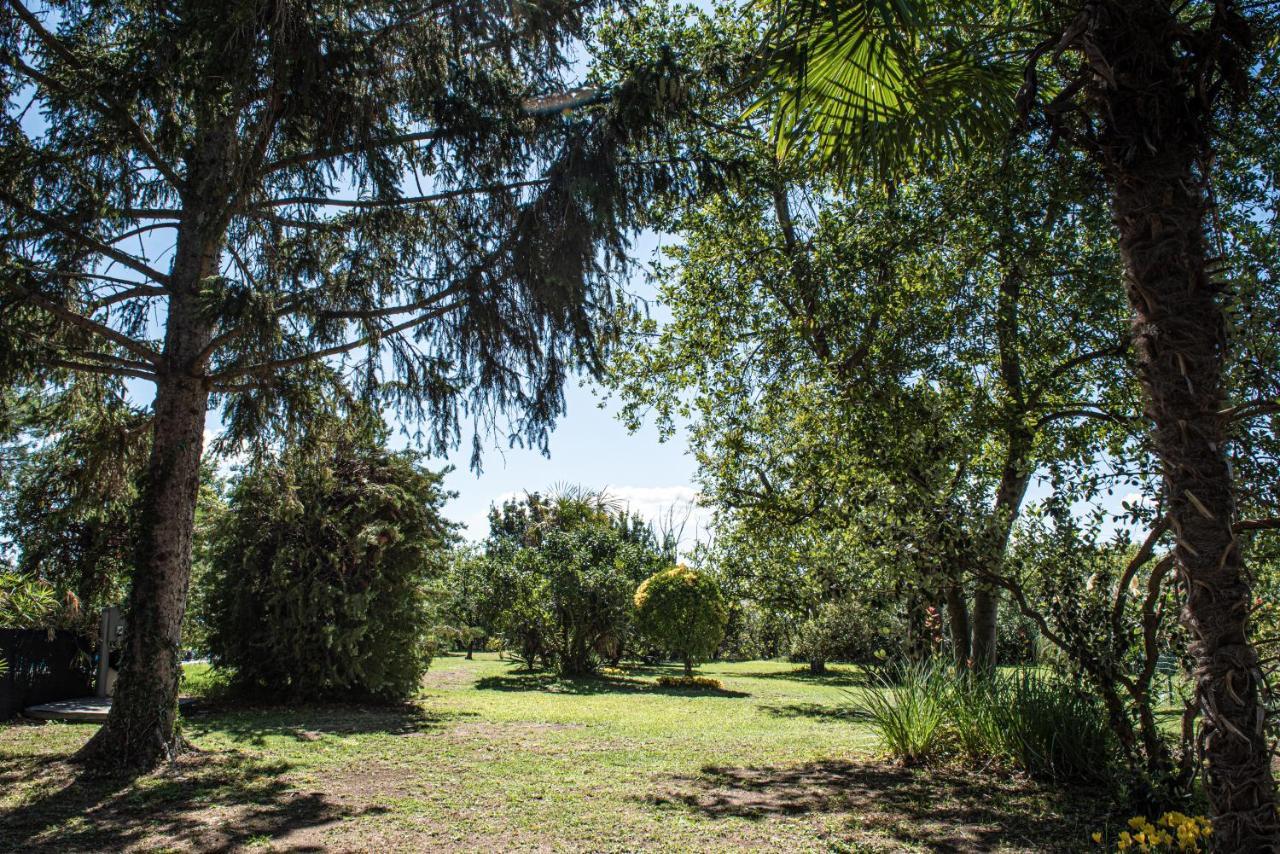 Terre Etrusche Guest House-Terme -3 Minuti Da Viterbo Centro Eksteriør bilde